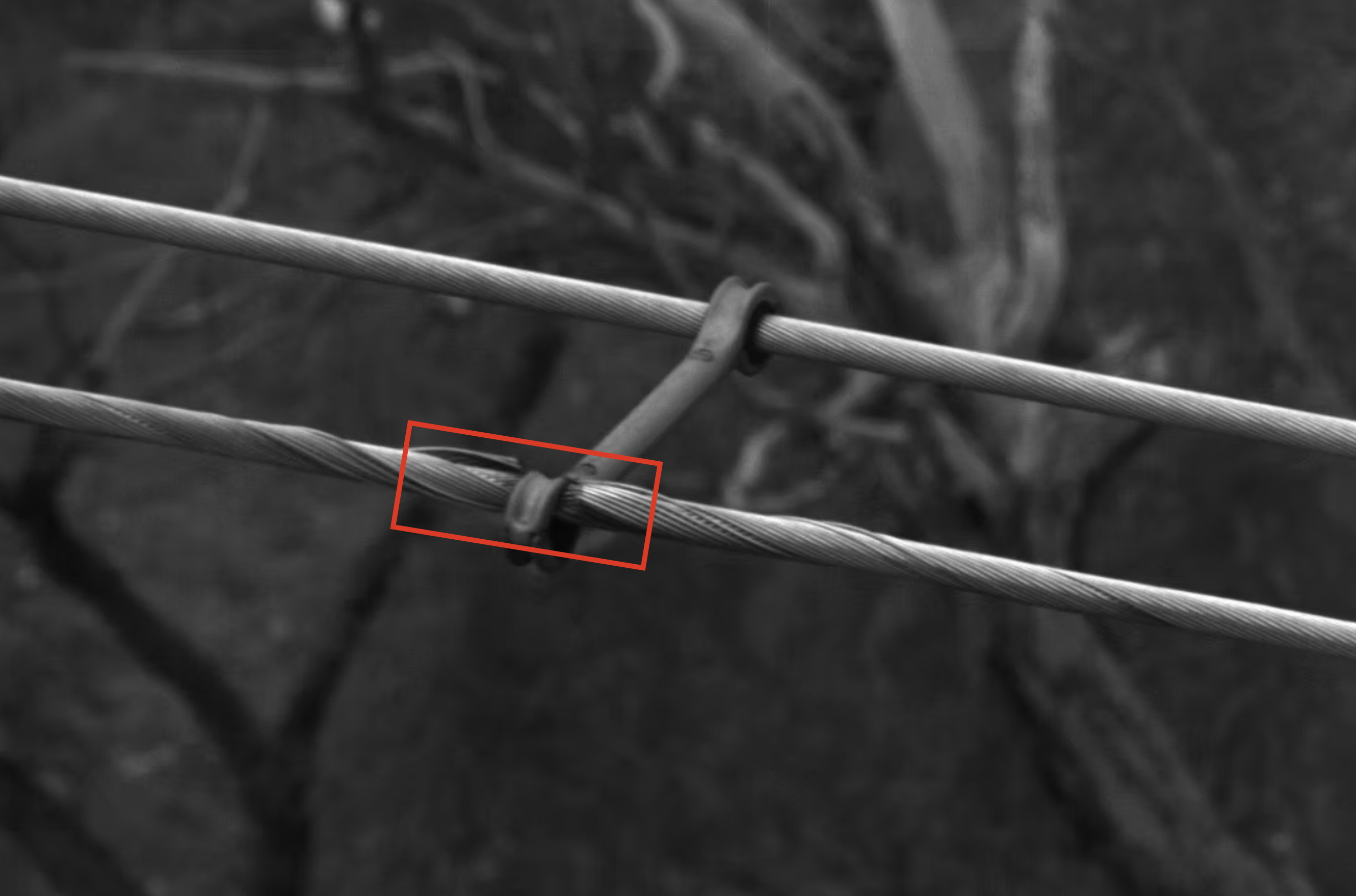 Computer vision detecting an anomaly on transmission infrastructure